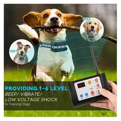 Remote Training Collar