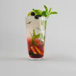 Blueberry Mojito