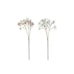 Plant Gypsophıla 68Cm 20 Gr 2Ass