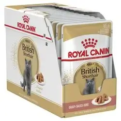 Royal Canin British Shorhair Adult 12 Pcs