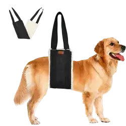 Harness 72 CM