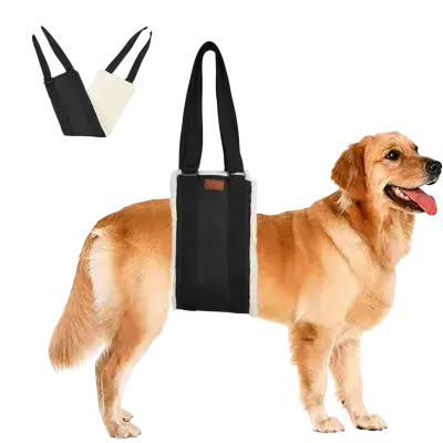 Harness 72 CM