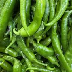 Sweet Pepper