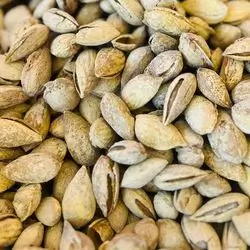 Almonds With Shell