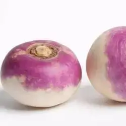 Turnip