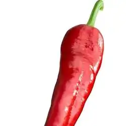 Red Pepper