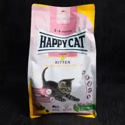 Happy Cat-Kitten