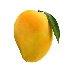 مانگۆ