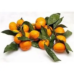 Mandarine Leaves Kg