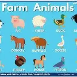 farm animals for kids