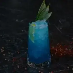 Special Mojito Cactus