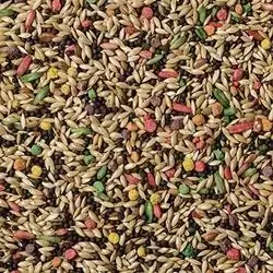 Bird Food (Canary)