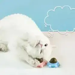 Crab cat toy with Catnip