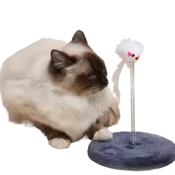 E317 Cat Toy