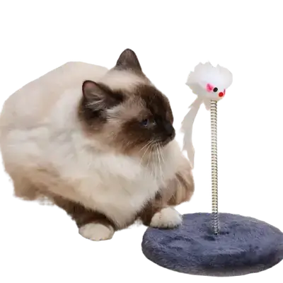 E317 Cat Toy
