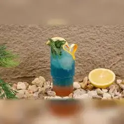 Citrus Mojito