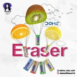 ERASER-DOMS