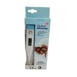 Thermometer