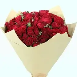 50 Red Roses