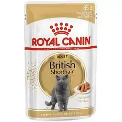 British Shorthair 12x85g