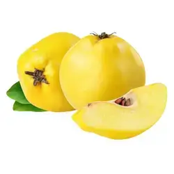 Quince