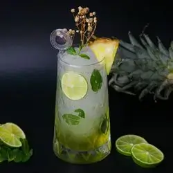 Passion Fruit Mojito