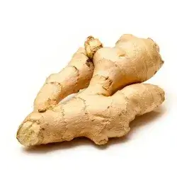 Ginger