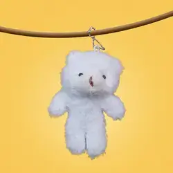 Cloudy Bear