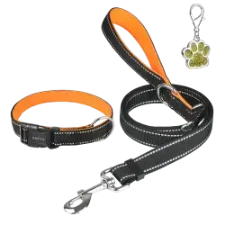 Pceotlarr Dog Collar Small