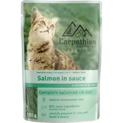 Carpathian Salmon In Sauce