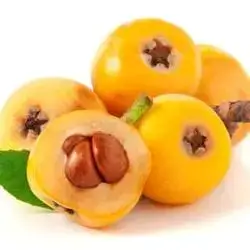 Loquat