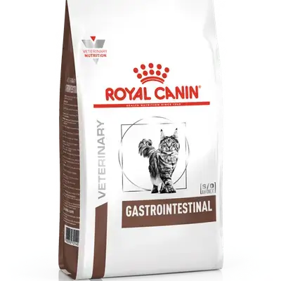 Gastrointestinal