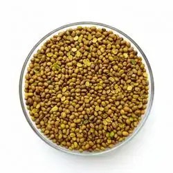 peeled wild pistachios qazwn