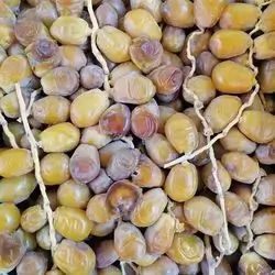 Iraqi dates