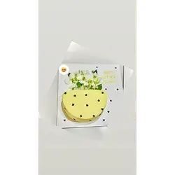 Special Cake