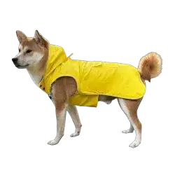 Dog Jacket 