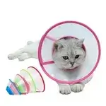 Protective Collar - Xl