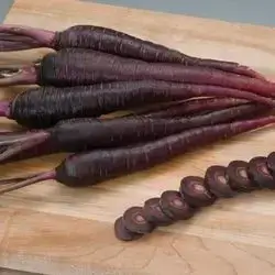 Black Carrot