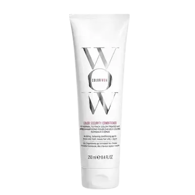 Color Security Conditioner for Normal to Thick Color Treated Hair 250ml _ COLOR WOW