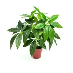 Artificial Plant 45cm - 751-1