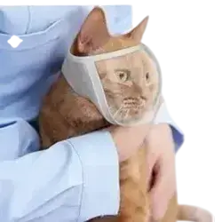 Safety Cat Mask