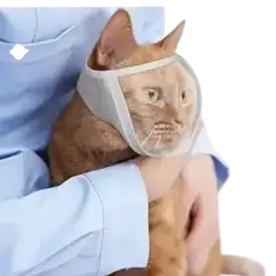 Safety Cat Mask