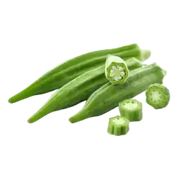 Okra