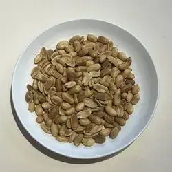 پینەتی وشک