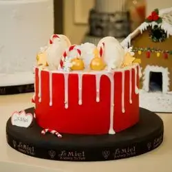 Christmas Cake Macron Chocolate Nutella - 12 Person