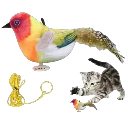 Cat Toy