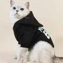 Hoodie M