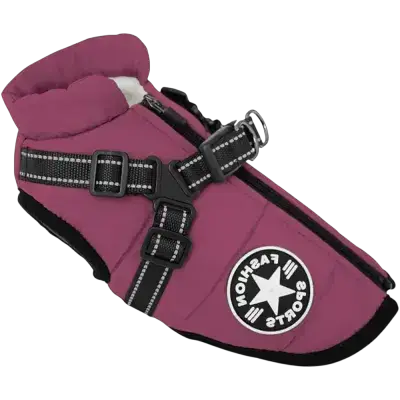 Harness L