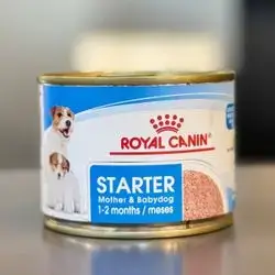 Starter Mother & Babydog 195g