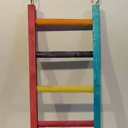 Bird Stand